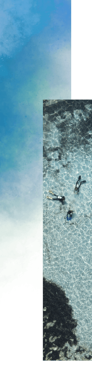 Scuba Diver in water on a reef