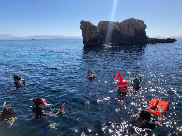 People snorkeling close to rocky shore