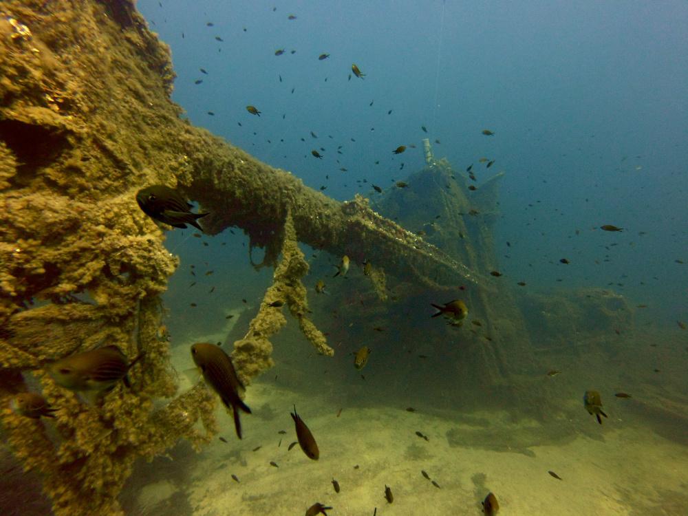 Underwater shipwreck with a lot fishes swimming around