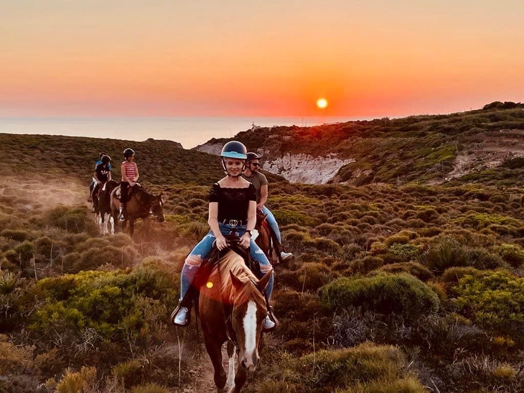 Horse trip in sunset