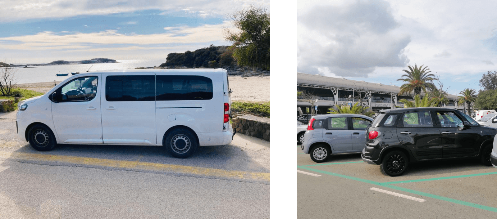 Transport vehicles with tropical background